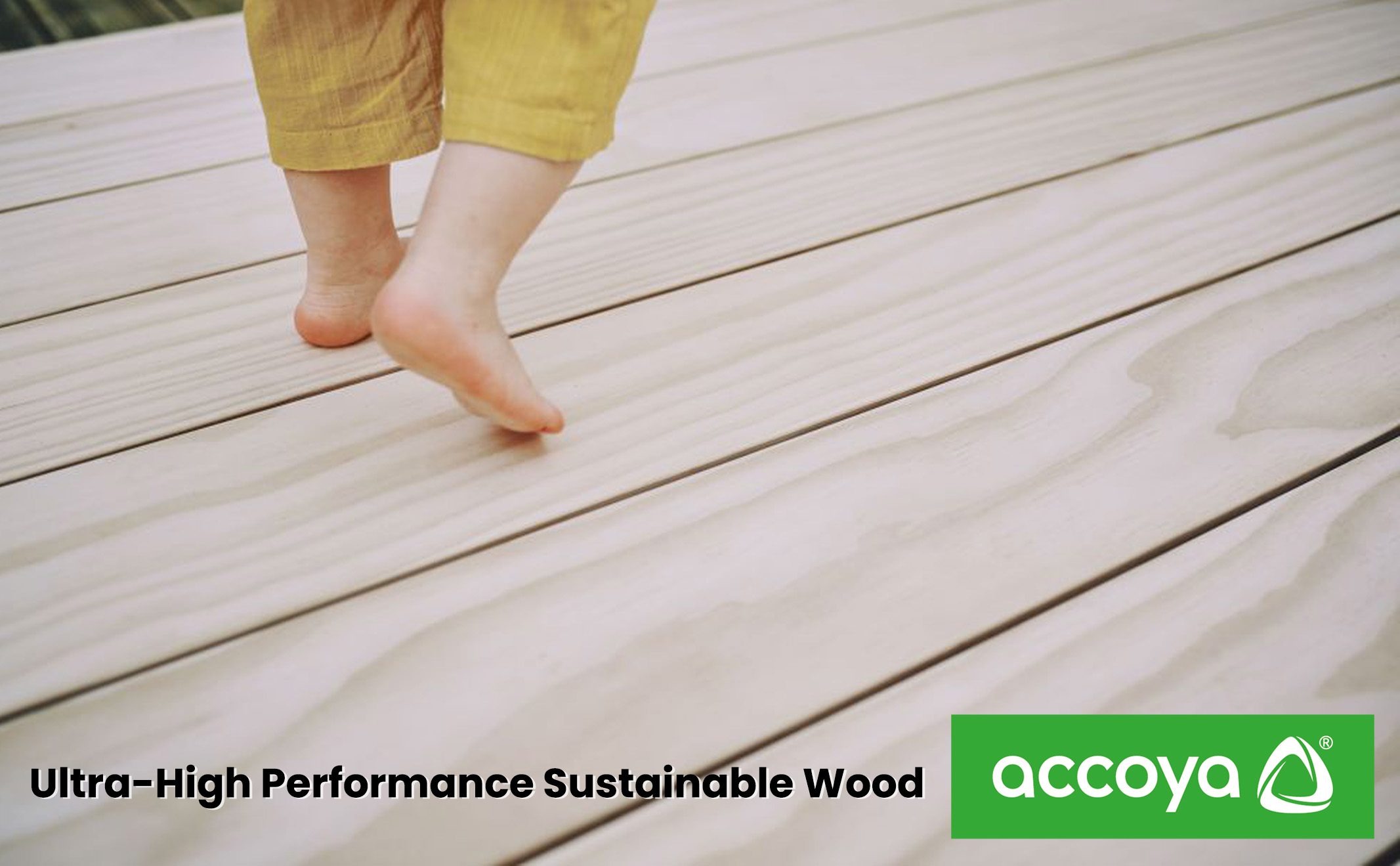 ULTRA-HIGH PERFORMANCE SUSTAINABLE WOOD