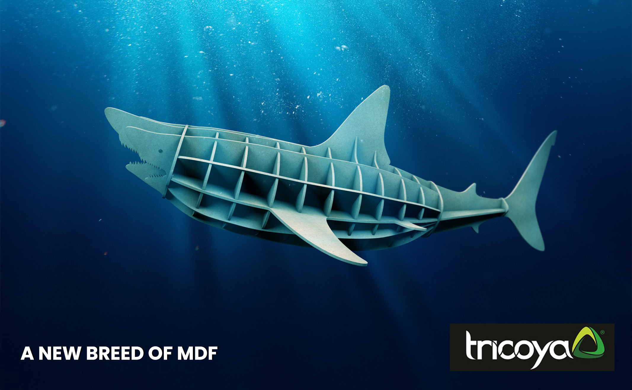 A NEW BREED OF MDF
